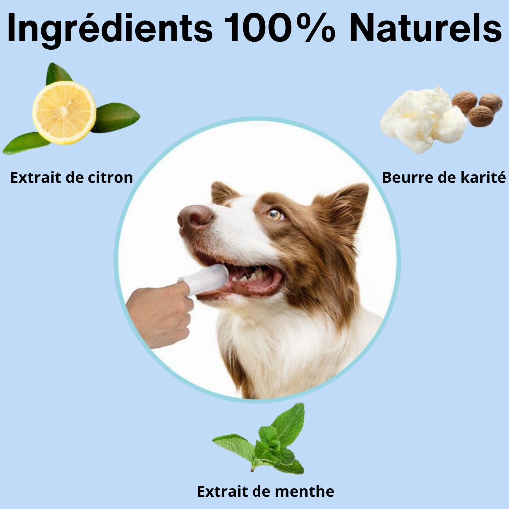 Dentaclean™