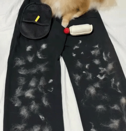 StaticClean™