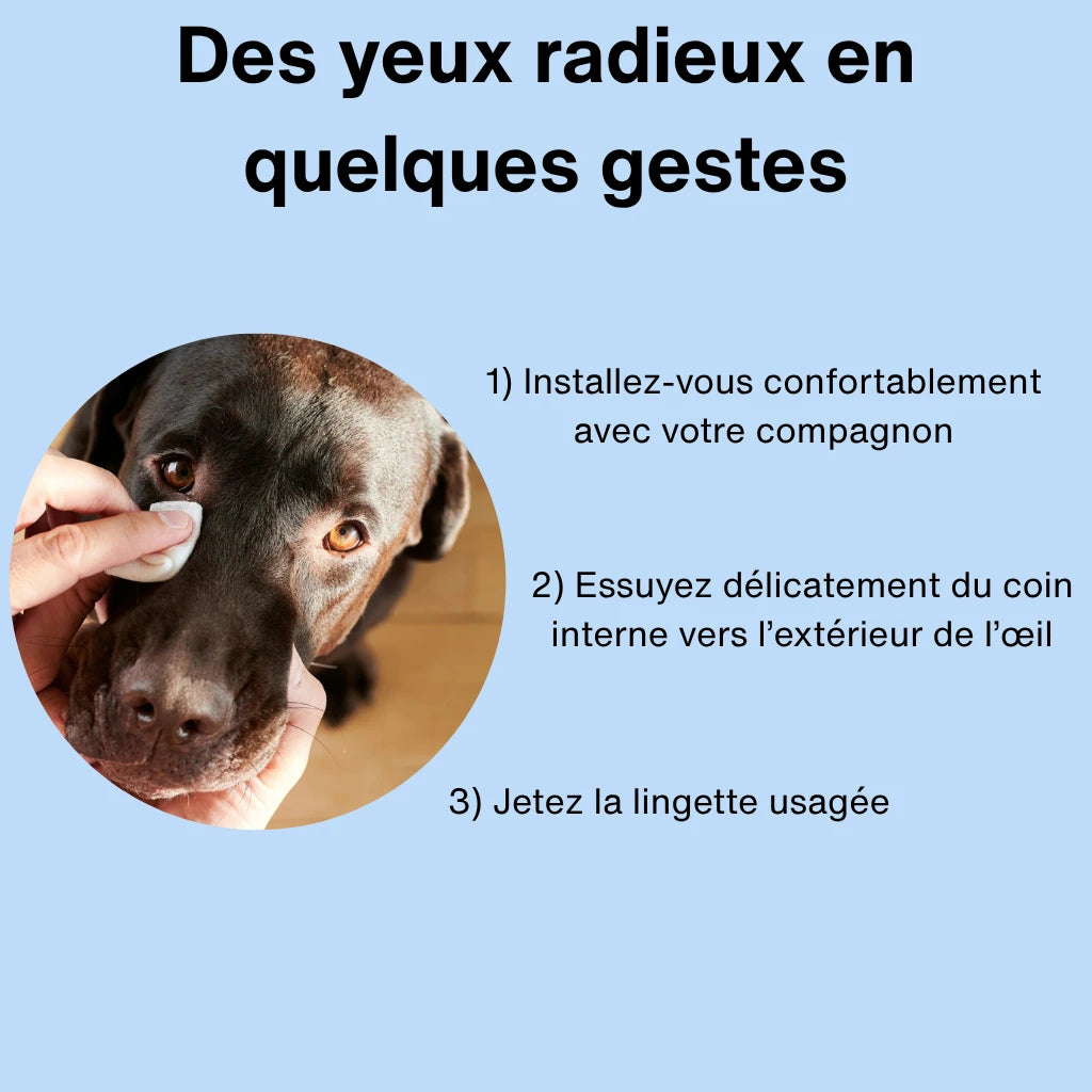 Cocoon™ | Lingettes nettoyantes pour yeux