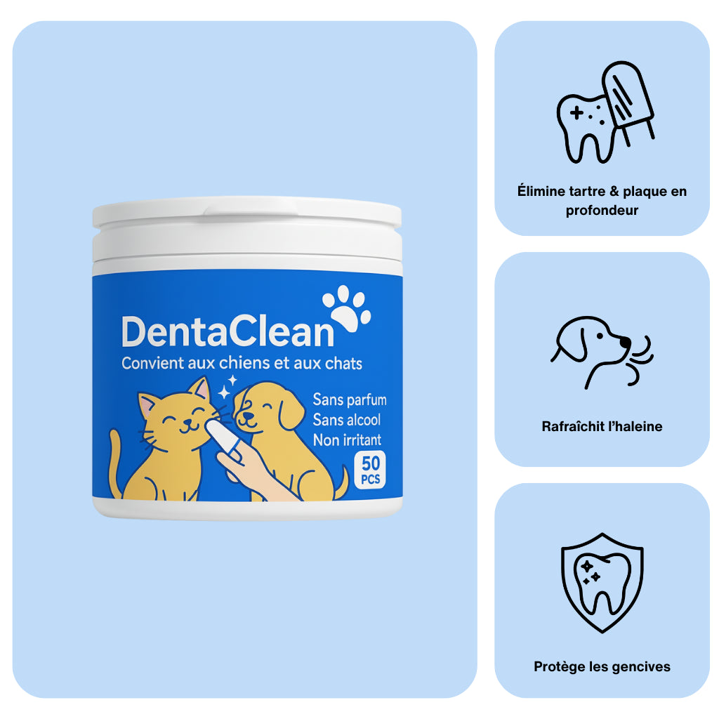 Dentaclean™ | 0 brosse,‎ 0 stress